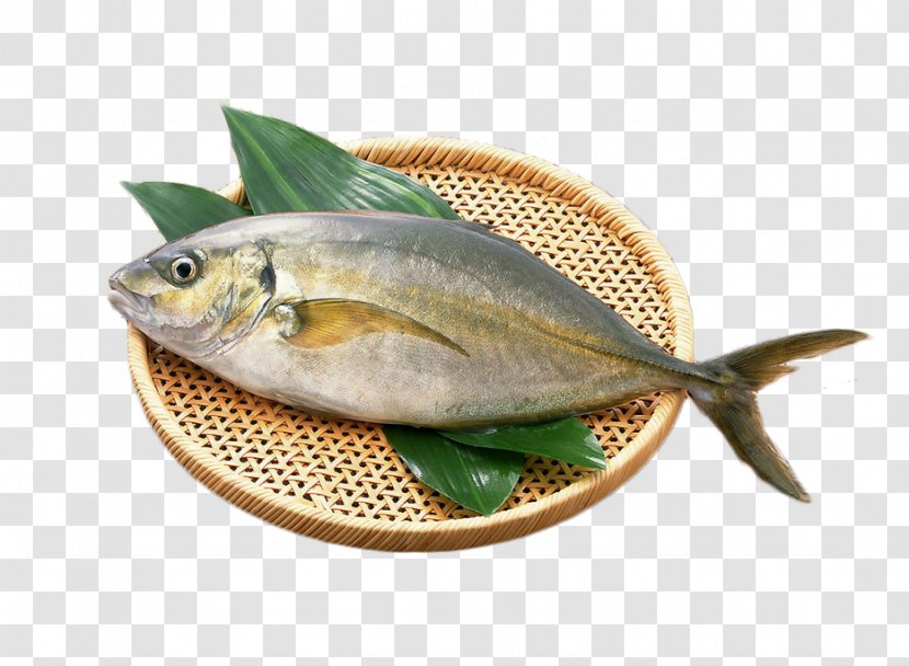 Unagi Seafood Diabetes Mellitus Fish - A Live Fish,Fresh Transparent PNG