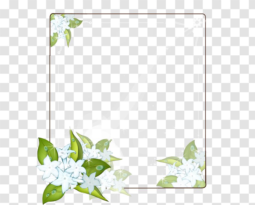 Picture Frames Flower Arabian Jasmine Drawing White - Grass Transparent PNG