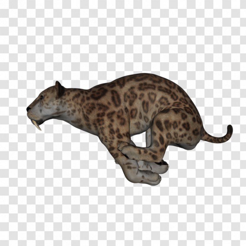 Leopard Big Cat Terrestrial Animal Puma Transparent PNG