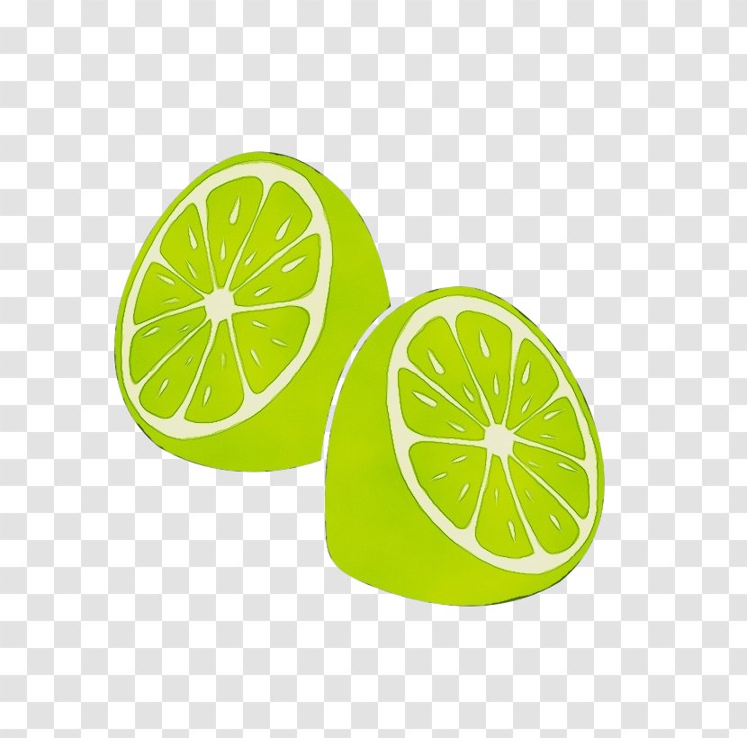 Citrus Lime Green Key Lemon - Paint - Plant Yellow Transparent PNG