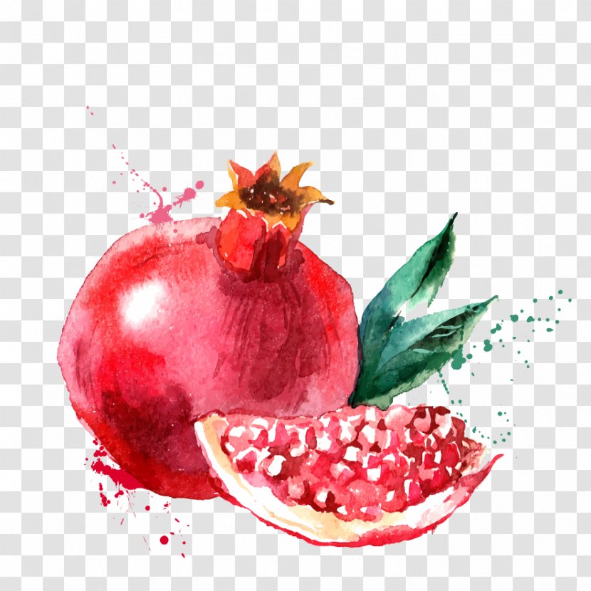 Pomegranate Juice Drawing Clip Art - Accessory Fruit Transparent PNG
