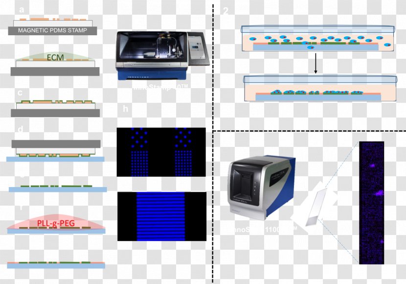 Brand Technology - Multimedia Transparent PNG