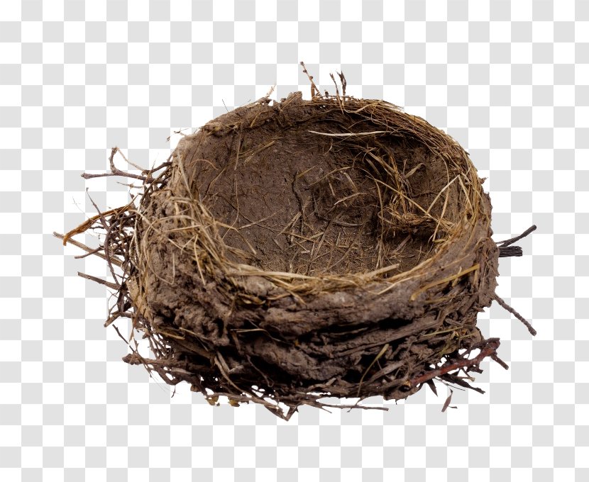 Bird Nest Clip Art - Easter Egg - A Transparent PNG