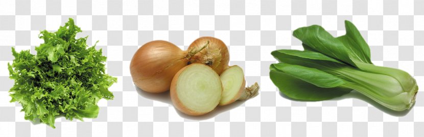 Red Onion Tomato Bell Pepper - Vegetarian Food - Green Vegetables Transparent PNG