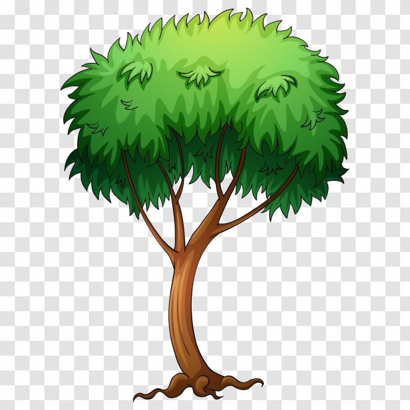 Tree Royalty-free Clip Art - Drawing - Tree,Trees Transparent PNG