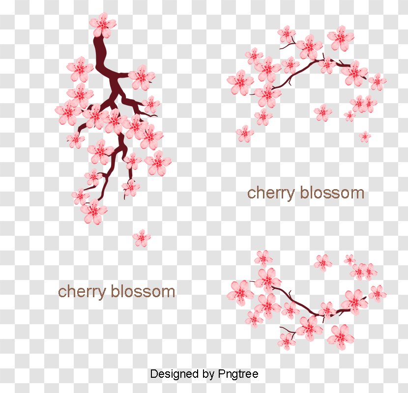 Cherry Blossom ST.AU.150 MIN.V.UNC.NR AD Flora Design Desktop Wallpaper - Spring Framework Transparent PNG