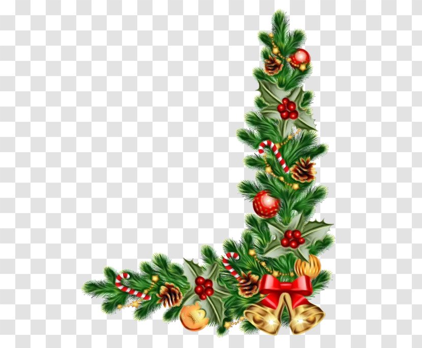 Family Tree Design - Colorado Spruce - Twig Christmas Eve Transparent PNG