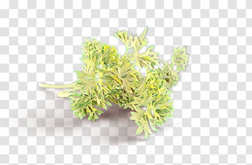 Herb - Yellow - Grass Leaf Transparent PNG