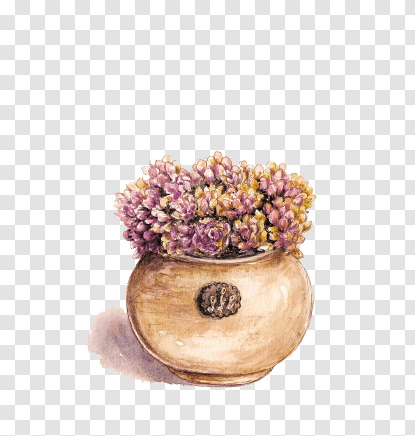 Succulent Plant Purple Flowerpot - Google Images - Fleshy Transparent PNG