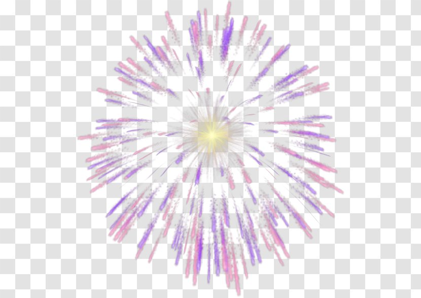 Fireworks Animation Clip Art - Sky - Fondo Transparent PNG