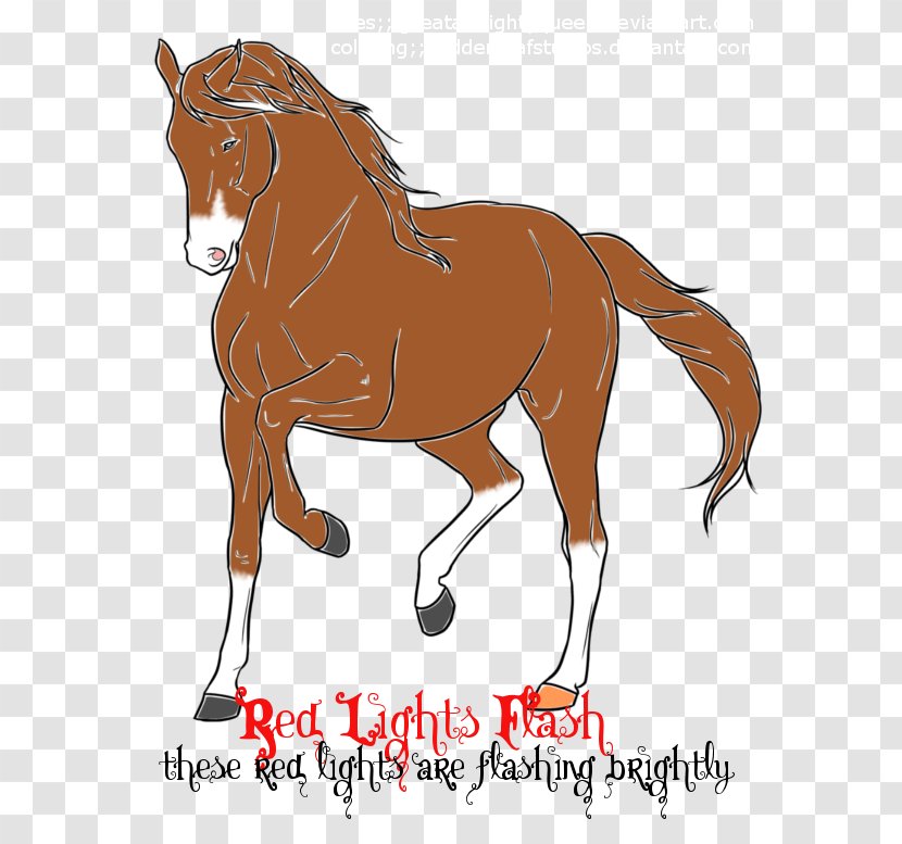 Stallion Mane Foal Mustang Mare - English Riding - Red Light Bulb Transparent PNG