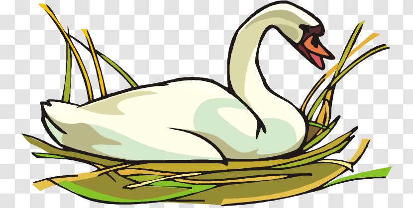 Goose Duck Mute Swan Clip Art - Stock Photography Transparent PNG