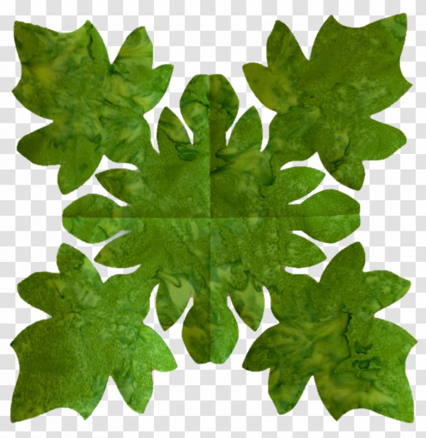 Plant Leaf Tree - Ivy - Monstera Transparent PNG