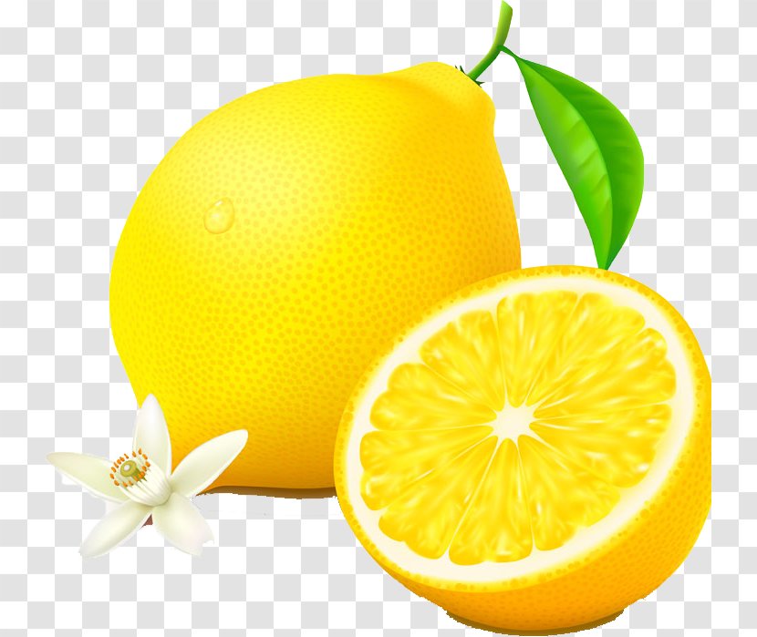 Auglis Cartoon Orange Illustration - Vegetable - Yellow Lemon Transparent PNG