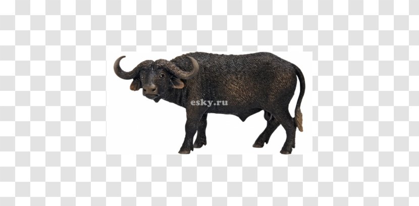 Amazon.com African Buffalo Toy Schleich Calf - Terrestrial Animal Transparent PNG