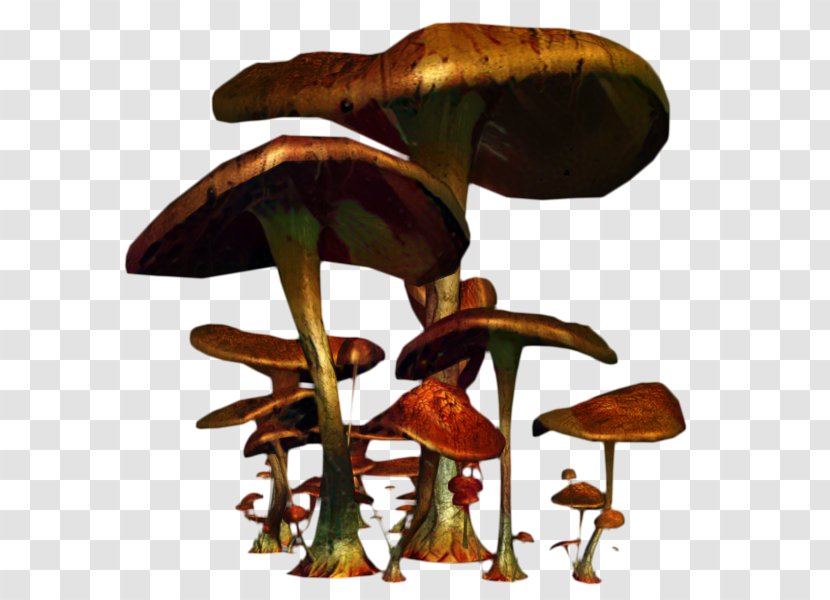 Edible Mushroom Product Design - Agaricaceae Transparent PNG