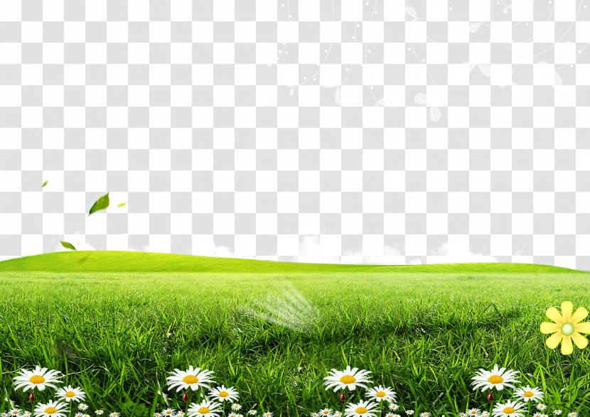 Green Lawn Poster Wallpaper - Raster Graphics - Posters Flowers Grass Background Transparent PNG