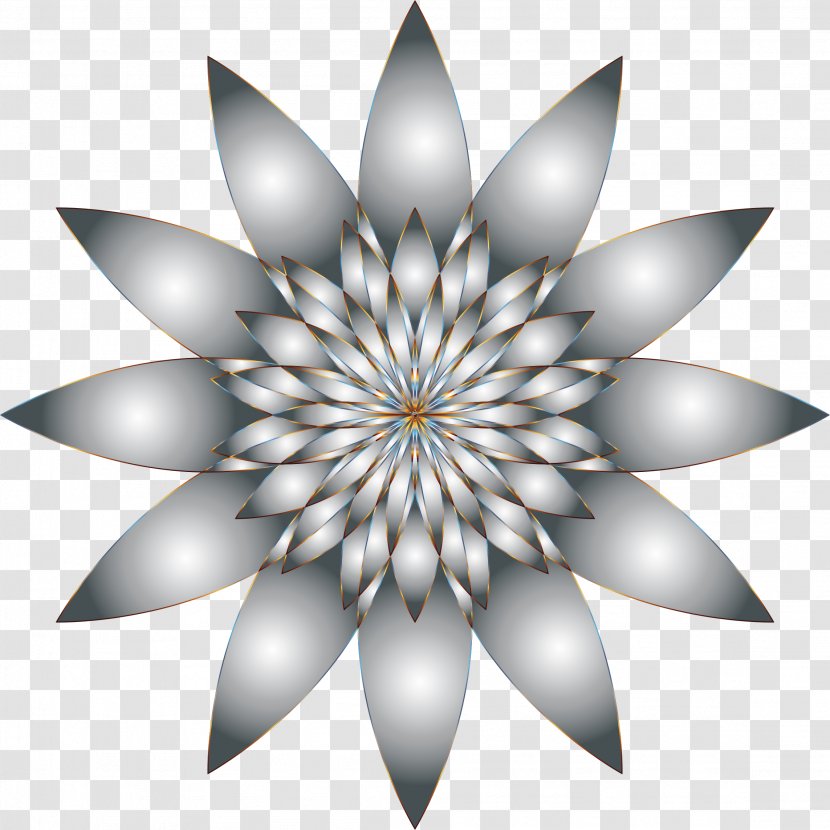 Desktop Wallpaper Flower Clip Art - Sunburst Transparent PNG