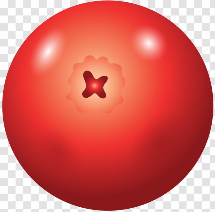 Ball Pilates Sphere Esferodinamia Yoga - Computer Network - Red Transparent PNG