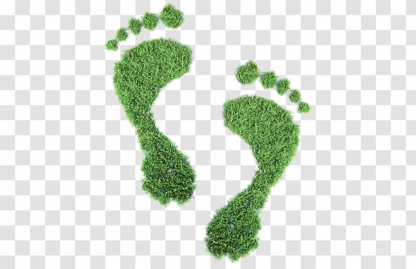 Ecological Footprint Royalty-free Carbon Clip Art - Concept Transparent PNG
