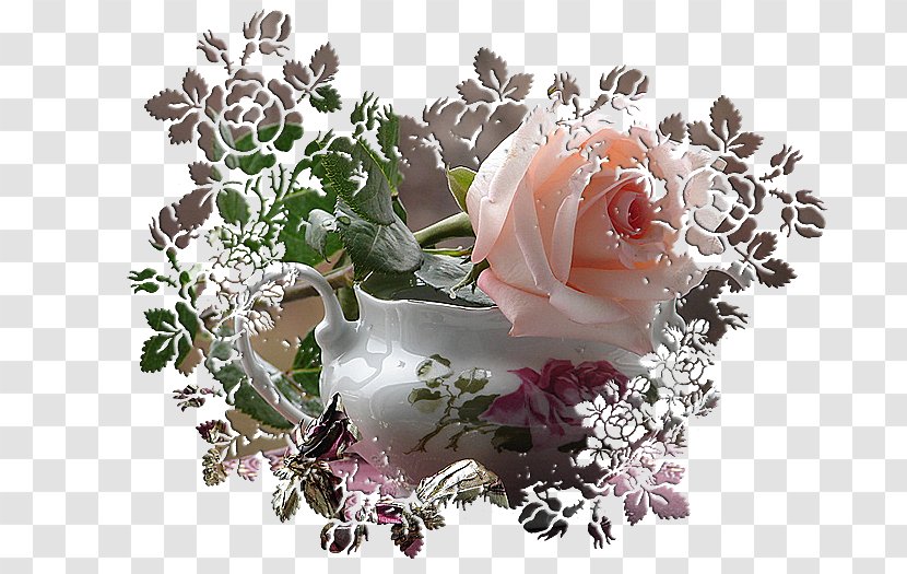 Garden Roses Floral Design Cut Flowers - Rose Transparent PNG