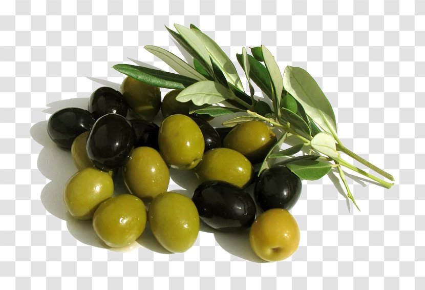 Arbequina Olive Oil Mediterranean Basin Fruit - Fat - Trees Transparent PNG