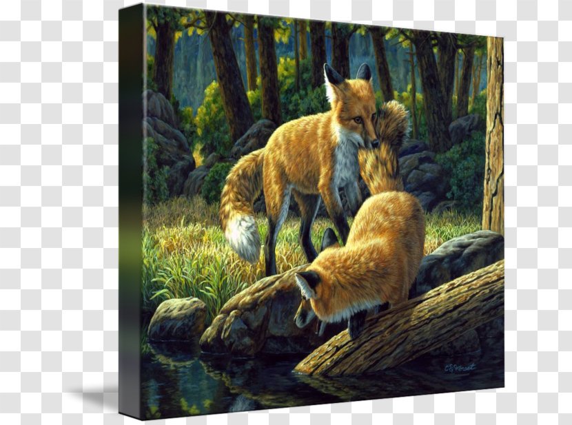 Red Fox The Foxes Oil Painting Watercolor - Organism Transparent PNG