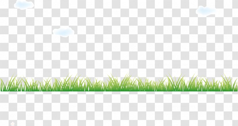 Grasses Energy Sky Commodity Wallpaper - Vector Green Grass And White Clouds Transparent PNG