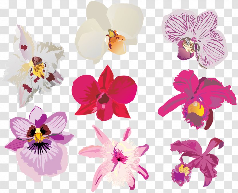 Orchids Flower - Pixers - Pattern Transparent PNG