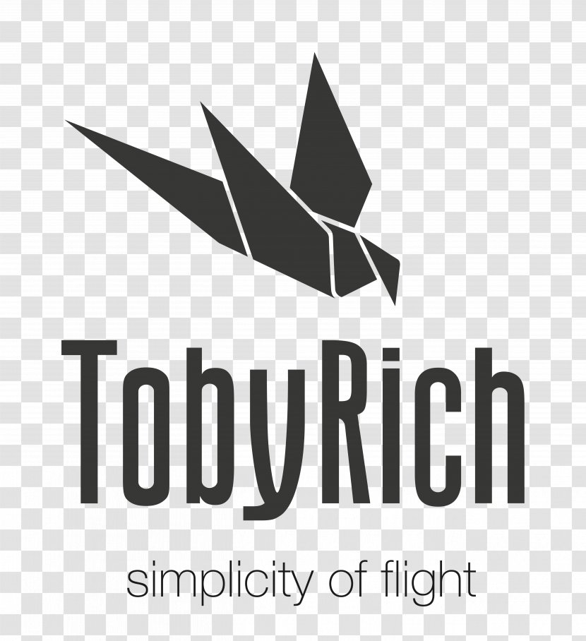 Airplane Moskito Smartphone Controlled Plane TobyRich SmartPlane PRO Unmanned Aerial Vehicle Transparent PNG