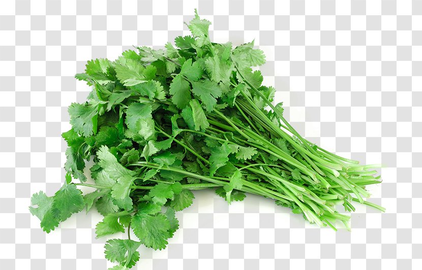 Coriander Stock Photography Royalty-free - Vegetarian Food - Cumin Transparent PNG