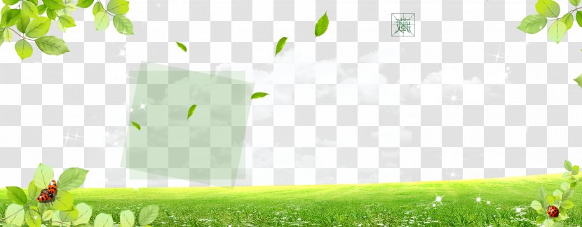Branch Meadow Lawn Wallpaper - Plant - Fresh Background Map Transparent PNG