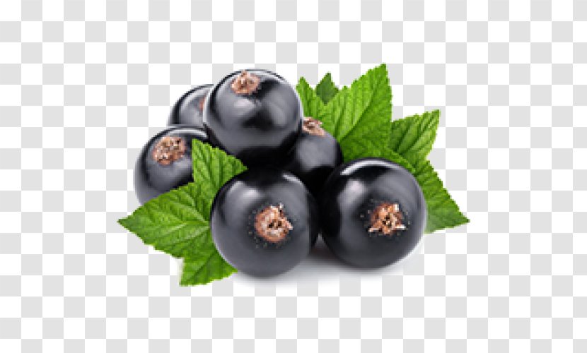 Blackcurrant Redcurrant Mors Bilberry - Huckleberry - Fruit Transparent PNG