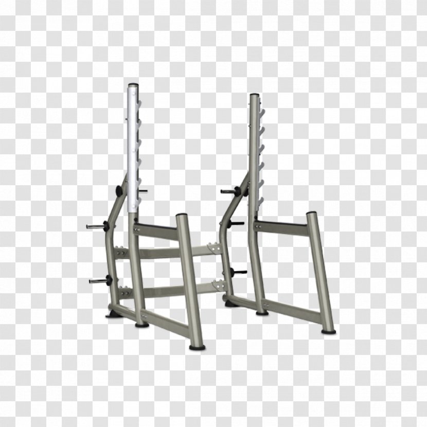 Power Rack Squat Johnson Fitness Store Hellas Exercise Equipment Weight Training - Metal Transparent PNG