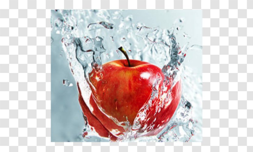 Apple Animation Photography Mosaic - Drawing Transparent PNG