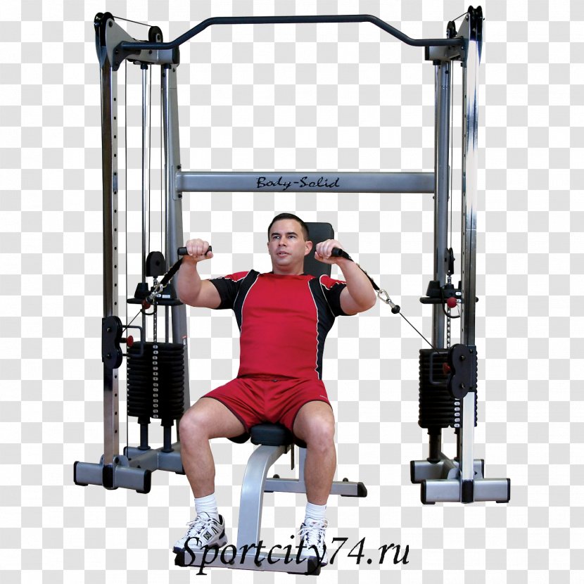 Functional Training Fitness Centre Cable Machine Body Solid - Cartoon - Tree Transparent PNG