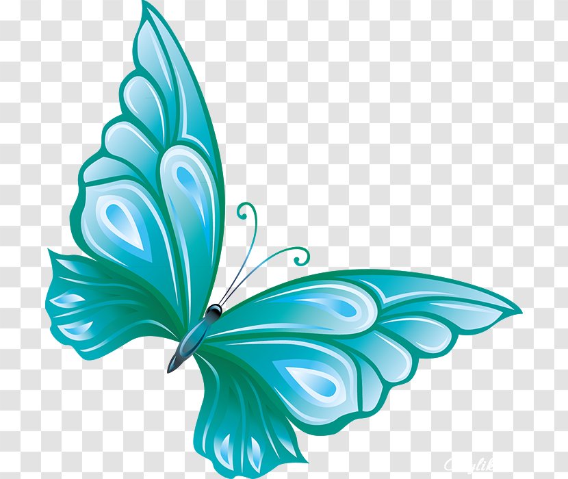 Butterfly Clip Art Image Openclipart - Invertebrate Transparent PNG