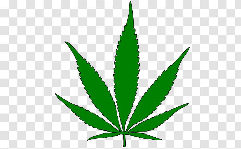 Global Marijuana March Canada Legality Of Cannabis Medical - Flag Transparent PNG