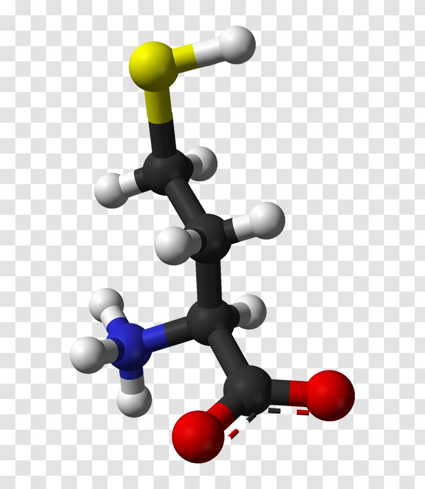 Homocysteine Health Molecule Chemistry Nutrition - Technology - Male Transparent PNG