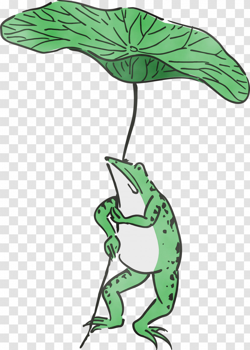 True Frog Plant Stem Leaf Tree Frog Frogs Transparent PNG