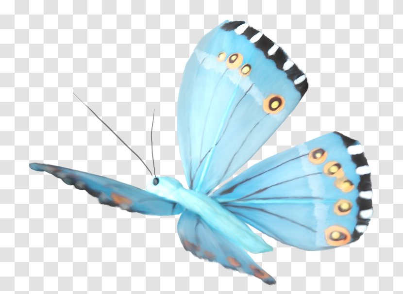 Butterfly Clip Art - Moths And Butterflies Transparent PNG