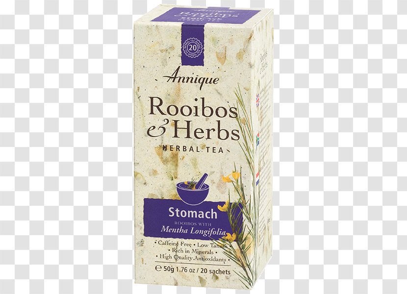 Green Tea Rooibos Herbal Plant - Mentha Longifolia Transparent PNG