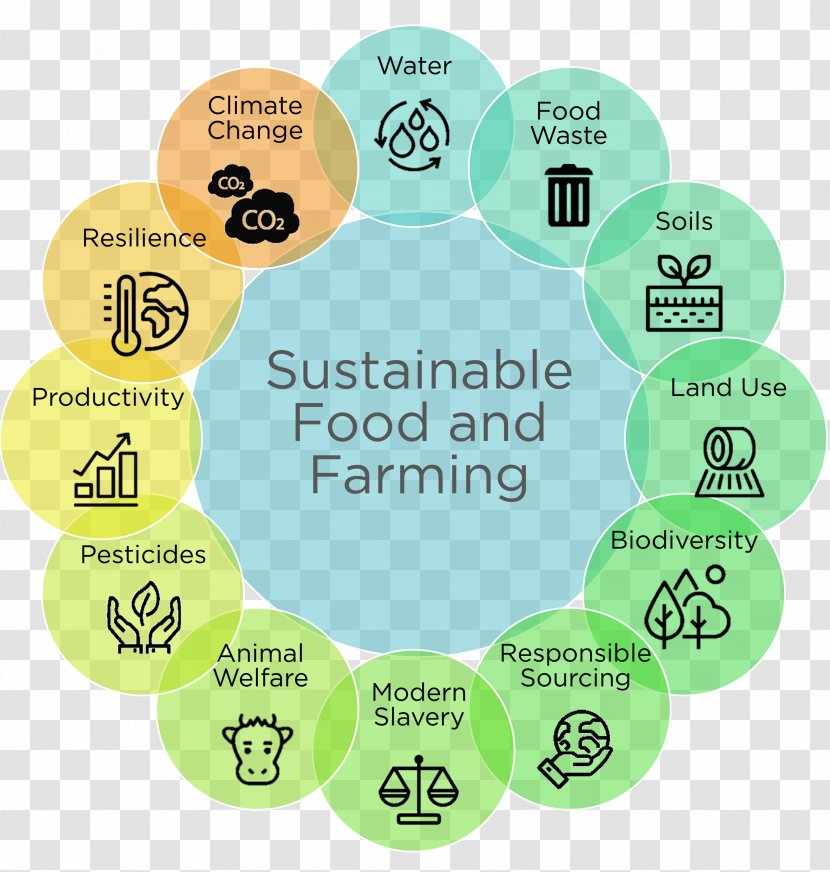 Sustainability Food And Farming Sustainable Agriculture Development - Innovation - Responsible Beverage Server Transparent PNG