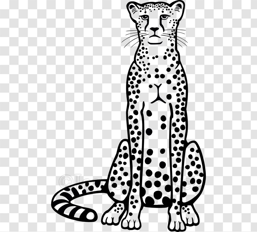 Cheetah Drawing Line Art - Terrestrial Animal Transparent PNG