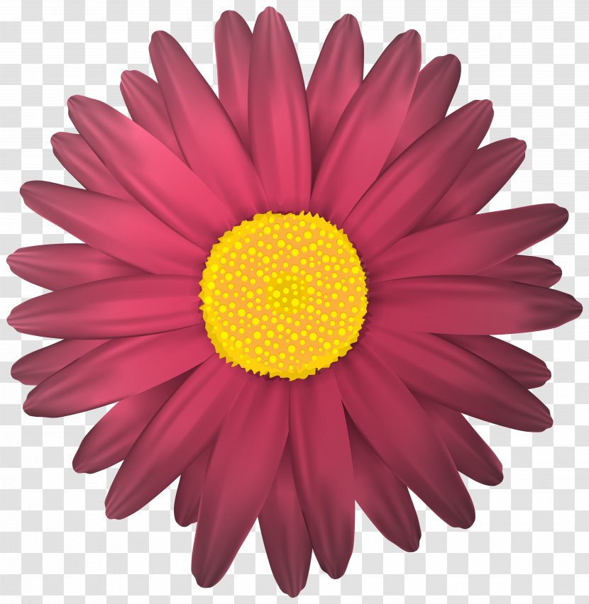 Flower Clip Art - Yellow - Chamomile Transparent PNG