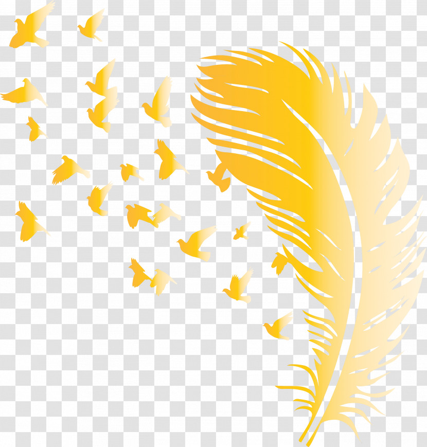 Bird Feather Transparent PNG