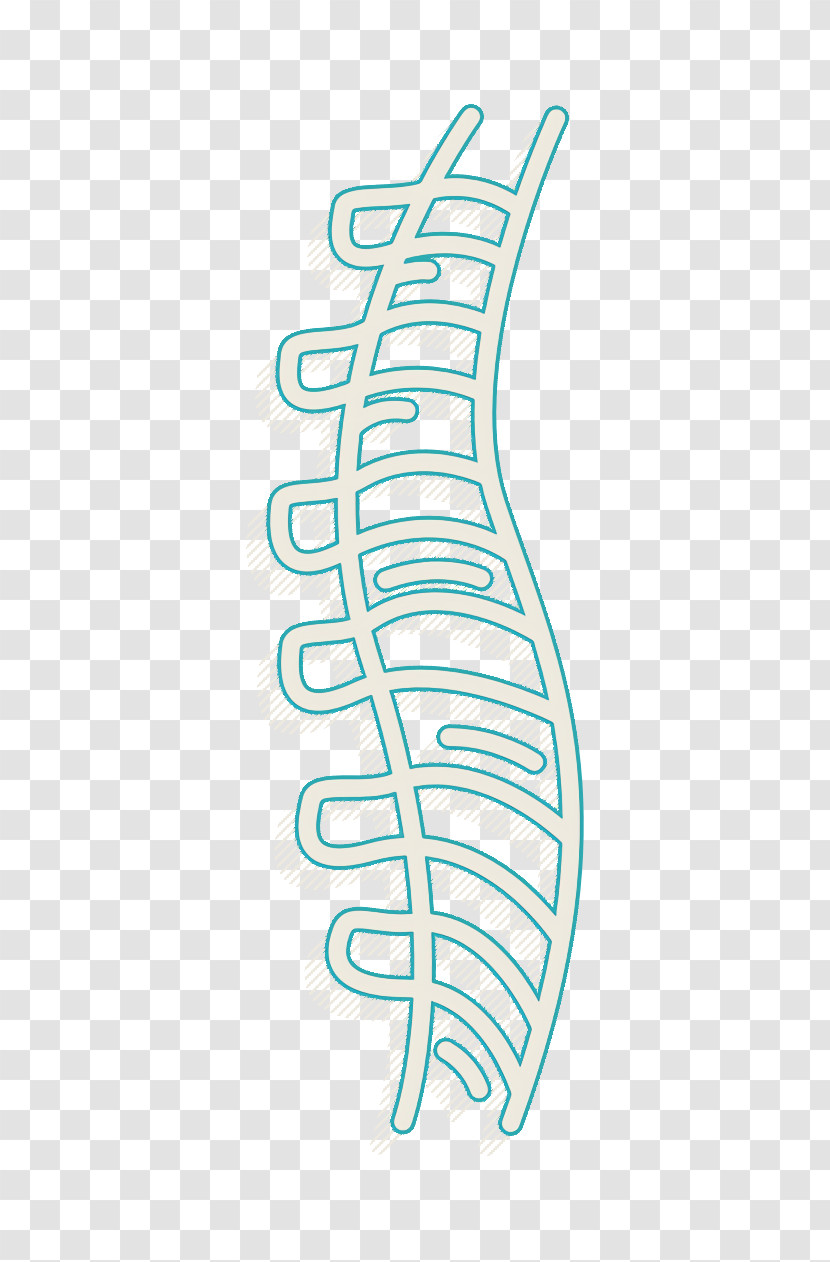 Bones Icon Human Body Parts Icon Human Spine Icon Transparent PNG