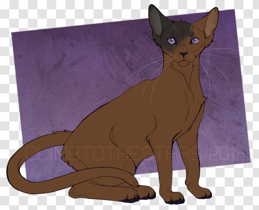 Whiskers Cat Painting Digital Art Drawing Transparent PNG