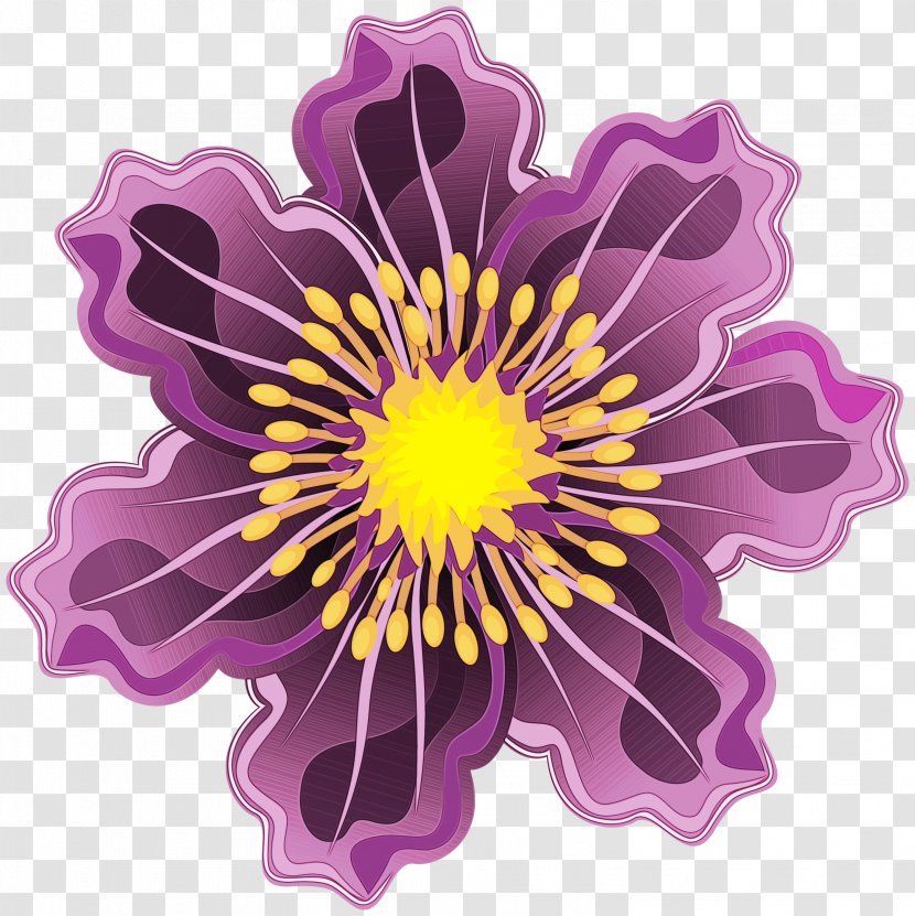 Purple Flower Violet Petal Plant - Passion Family Flowering Transparent PNG