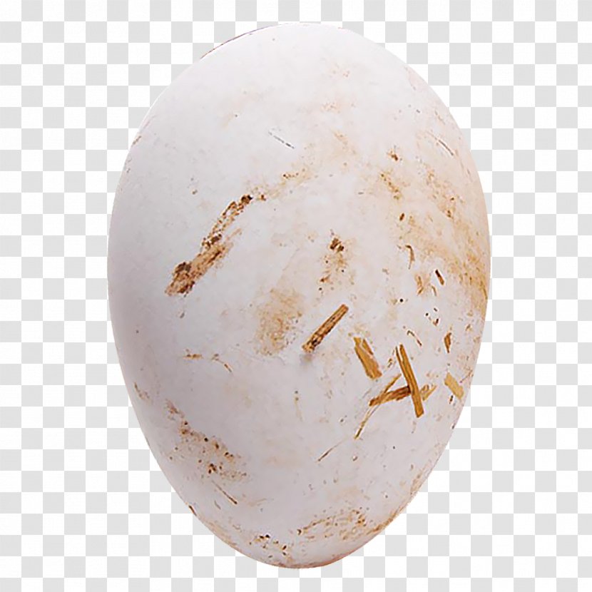Domestic Goose Egg Chicken - Herbaceous Plant - A Transparent PNG